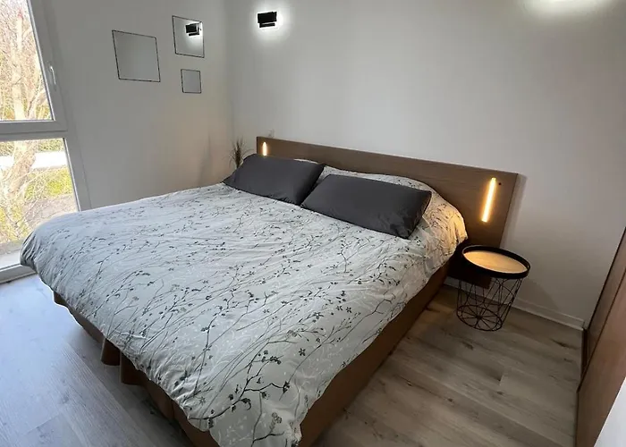 T1 Urbain Elegant In Apartment *